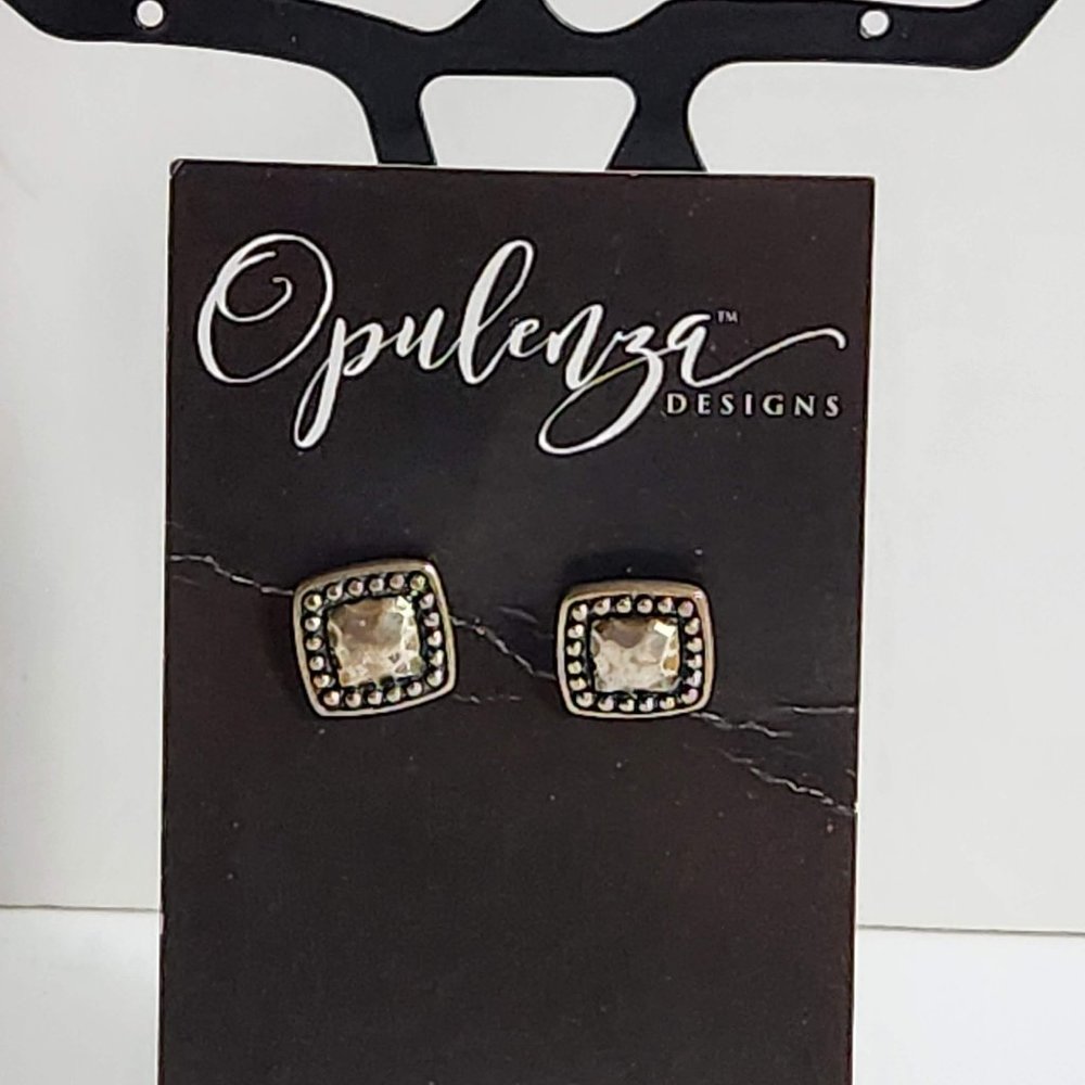 Sterling Silver earrings